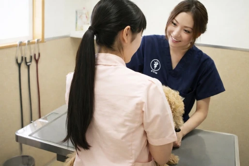 三重県三重県で株式会社ファイネス　三重オフィスの求人情報イメージ #3745-11977｜リクセル（RecSale）